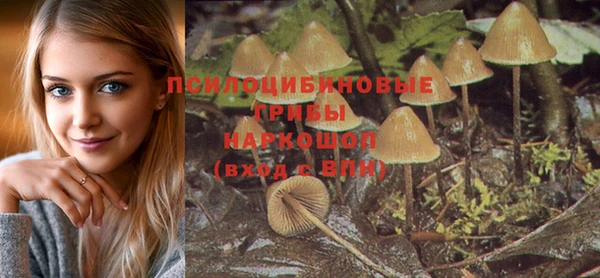 таблы Дмитриев