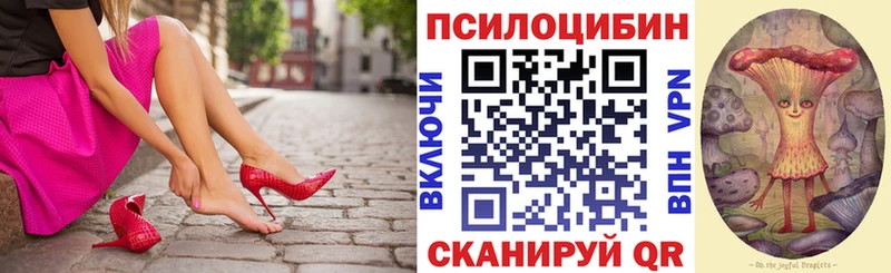 Купить  Цоци-Юрт  Псилоцибиновые грибы ЛСД 