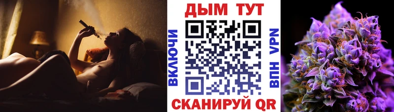 Каннабис план  Купить закладки  Цоци-Юрт 